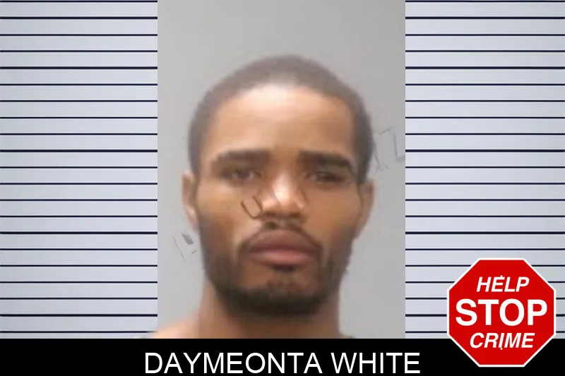 Daymeonta White mugshot