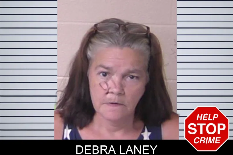 Debra Laney Mugshots