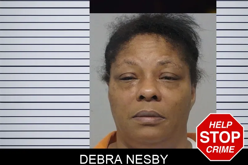 Debra Nesby mugshot