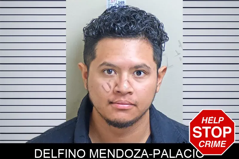 Delfino Mendoza-Palacio mugshot