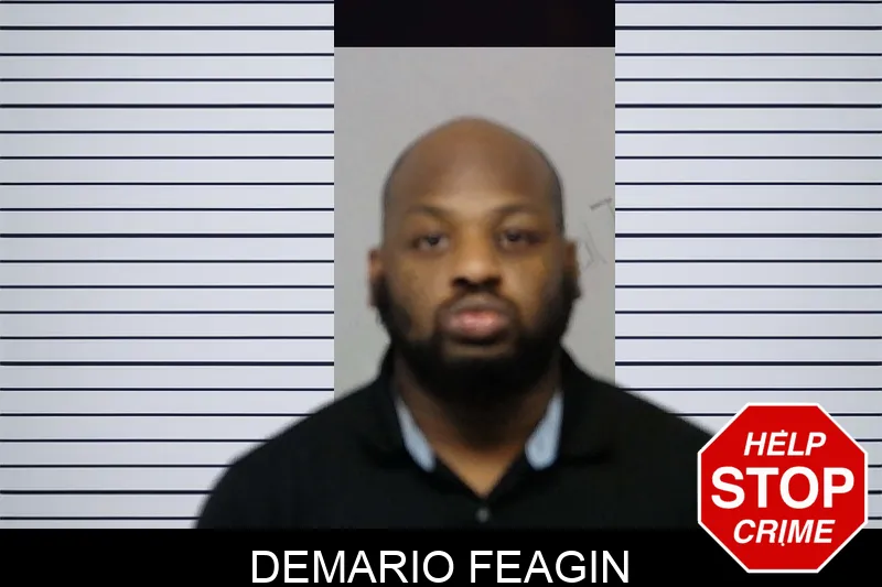Demario Feagin Mugshots