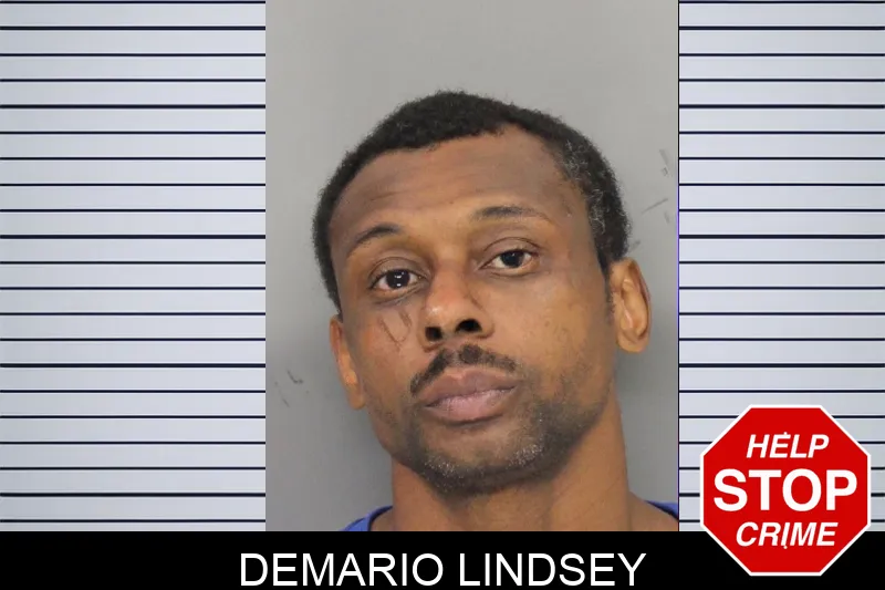 Demario Lindsey mugshot – Cobb County , Georgia Demario Lindsey mugshot