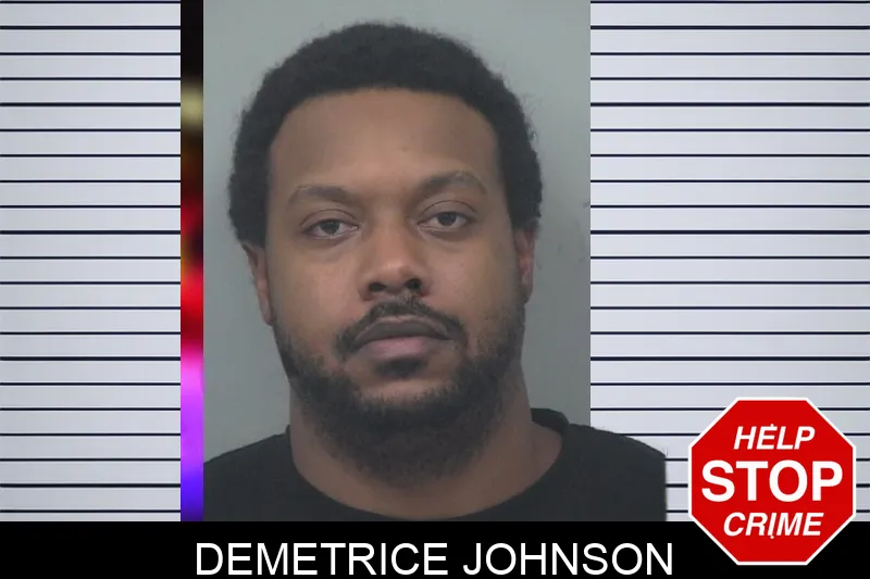 Demetrice Johnson mugshot – Gwinnett County , Georgia Demetrice Johnson mugshot