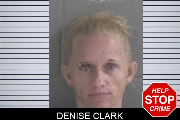 Denise Clark