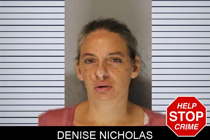Denise Nicholas mugshot – Hall County , Georgia Denise Nicholas mugshot
