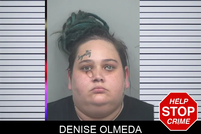 Denise Olmeda Mugshots