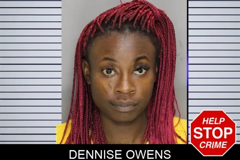 Dennise Owens mugshot – Cobb County , Georgia Dennise Owens