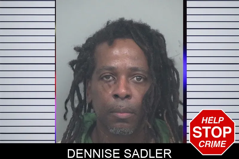 Dennise Sadler Mugshots