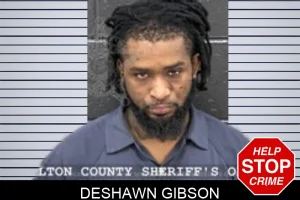 Deshawn Gibson mugshot