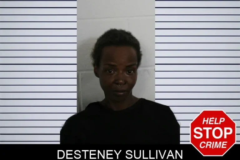 Desteney Sullivan mugshot – Floyd County , Georgia Desteney Sullivan