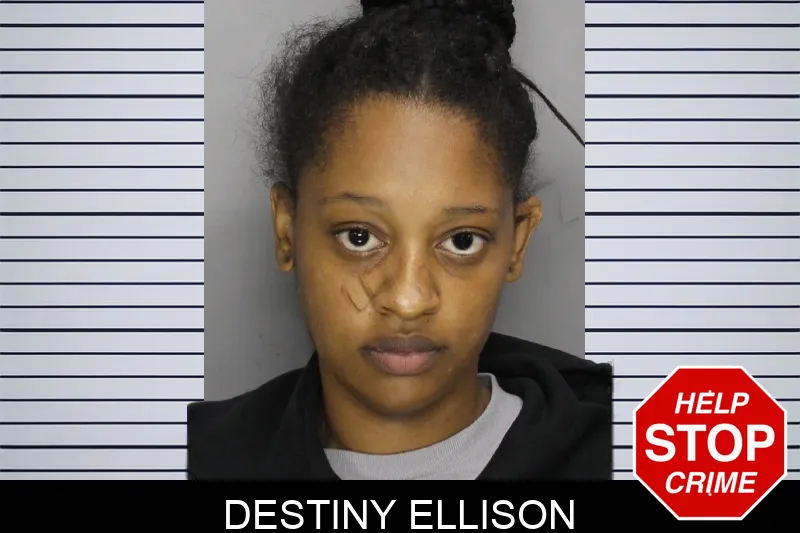 Destiny Ellison mugshot