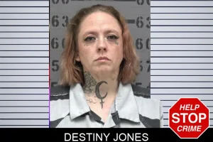 Destiny Jones mugshot