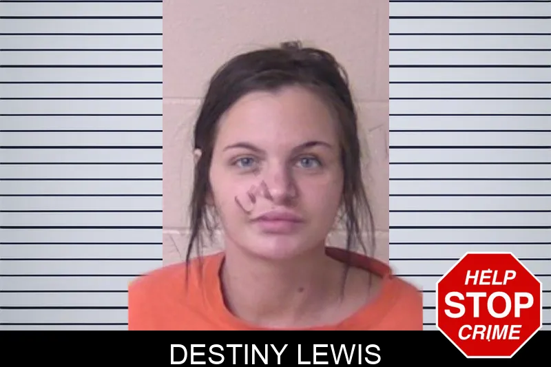 Destiny Lewis Mugshots