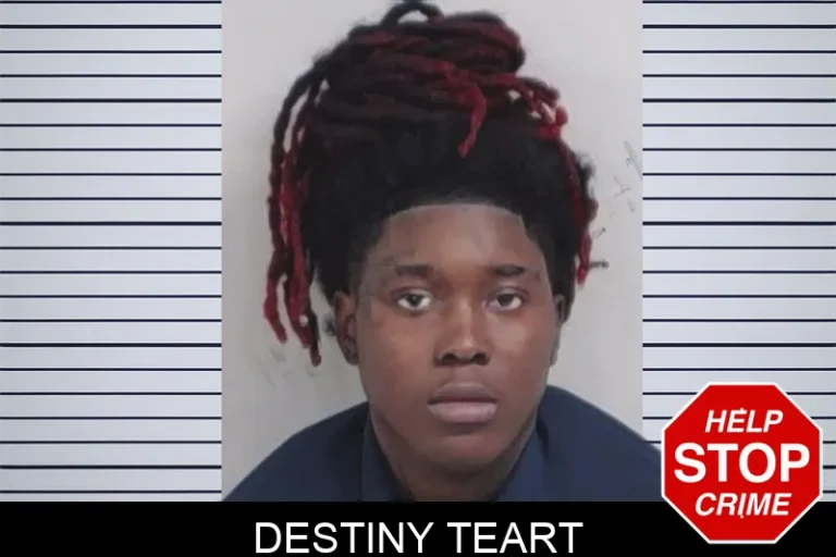Destiny Teart mugshot – Lowndes County , Georgia Destiny Teart