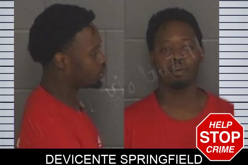 Devicente Springfield