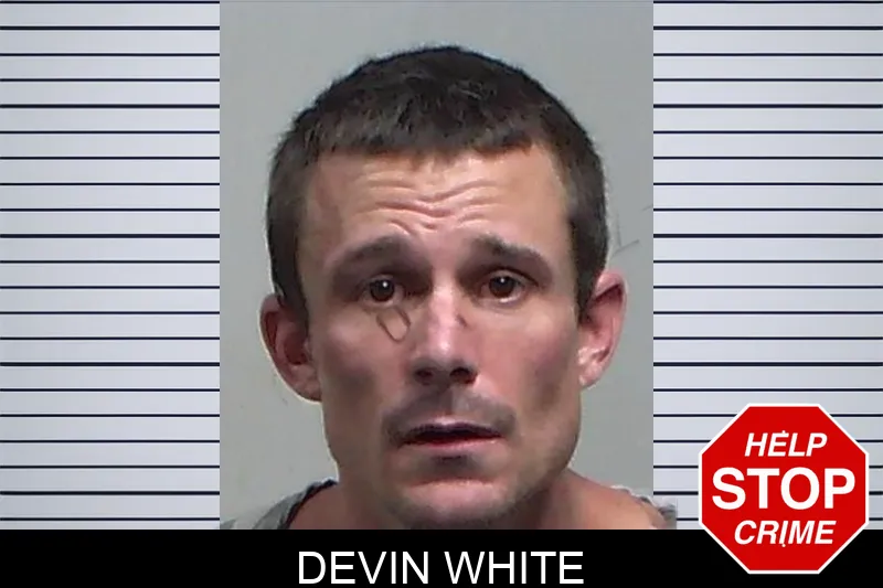 Devin White mugshot – Tift County , Georgia Devin White mugshot