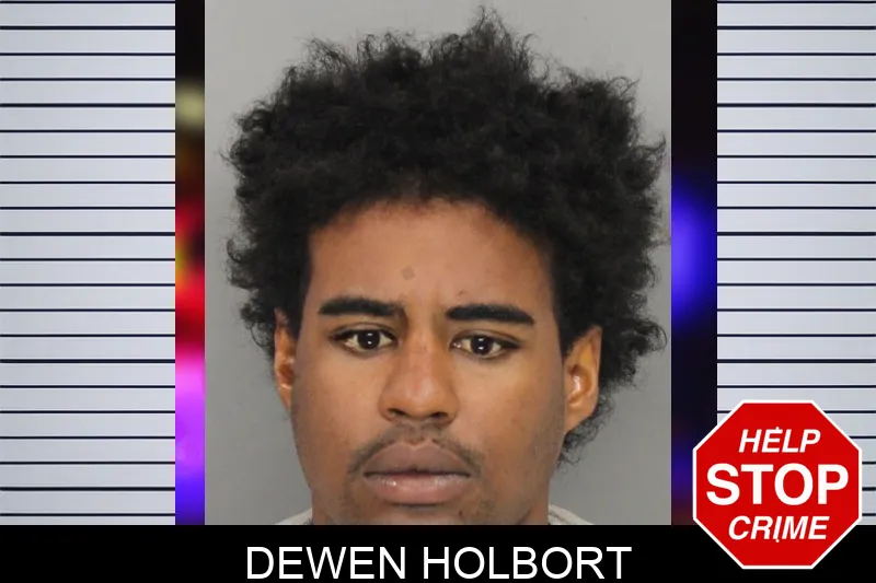 Dewen Holbort mugshot