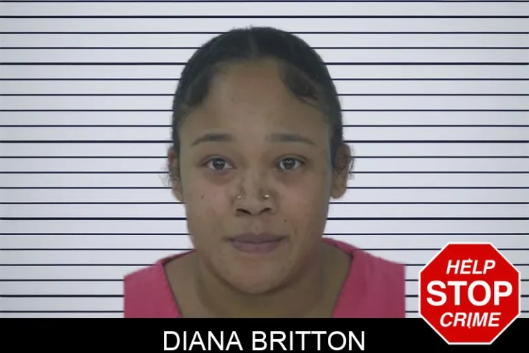 Diana Britton mugshot – Fayette County , Georgia Diana Britton