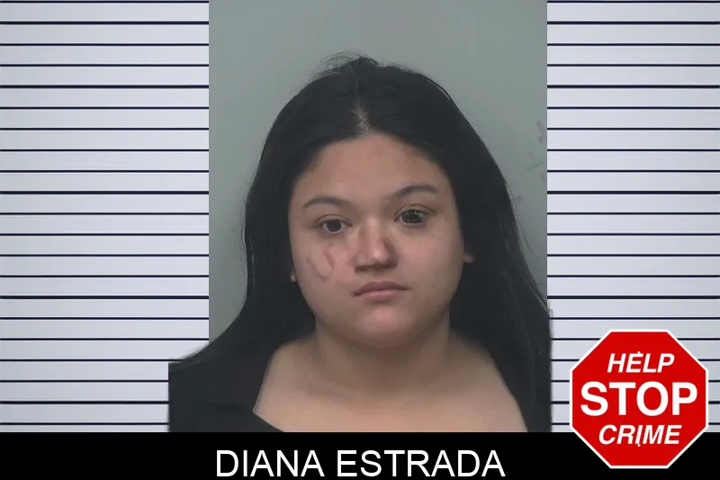 Diana Estrada mugshot