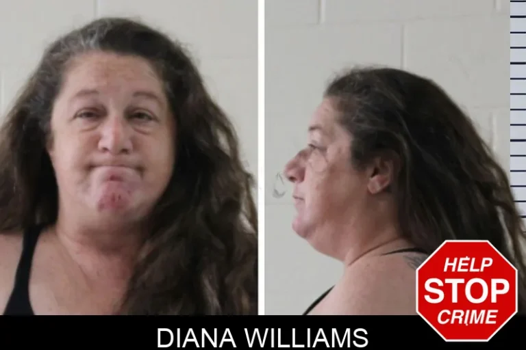 Diana Williams mugshot – Houston County , Georgia Diana Williams