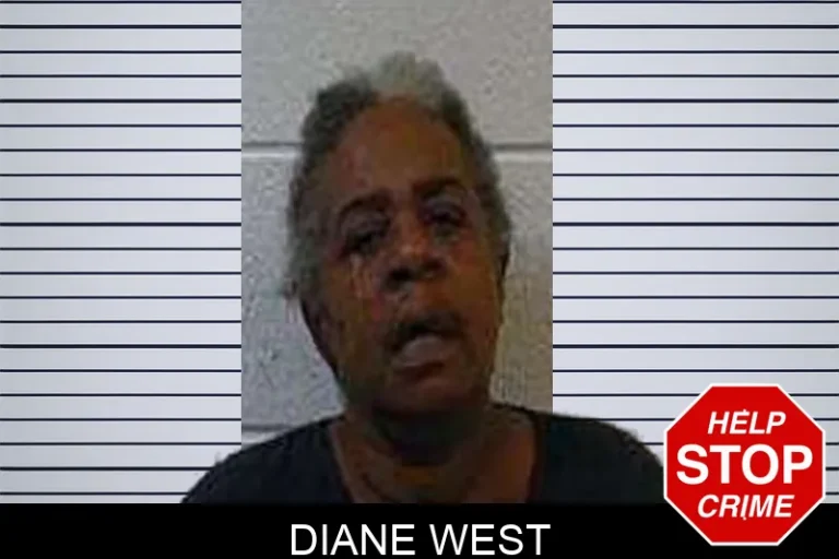 Diane West mugshot – Polk County , Georgia Diane West