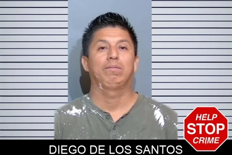 Diego De Los Santos mugshot – Glynn County , Georgia Diego De Los Santos