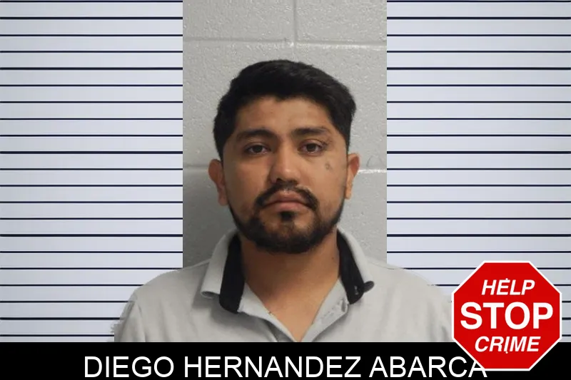 Diego Hernandez Abarca