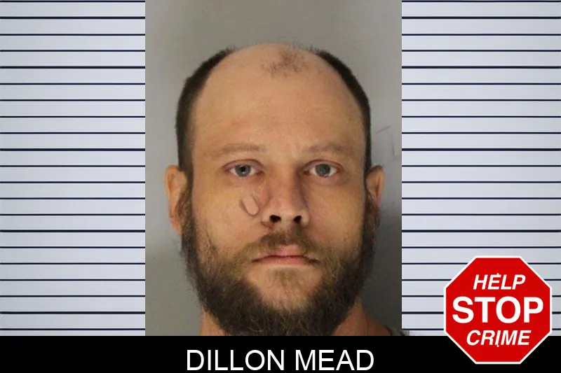 Dillon Mead mugshot