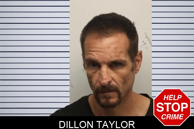 Dillon Taylor mugshot – Chatham County , Georgia Dillon Taylor mugshot