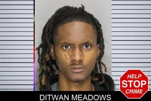 Ditwan Meadows mugshot
