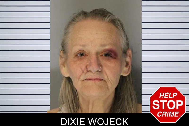 Dixie Wojeck mugshot – Hall County , Georgia Dixie Wojeck mugshot