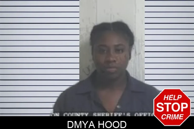 Dmya Hood