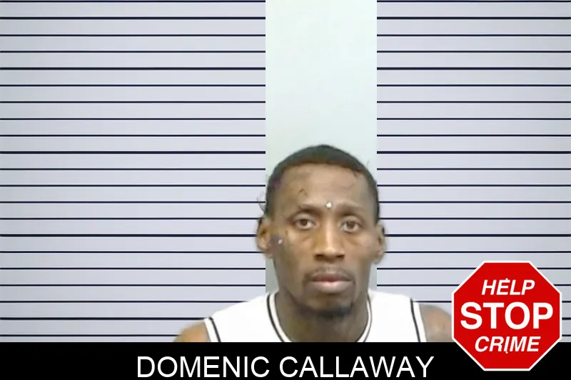 Domenic Callaway mugshot