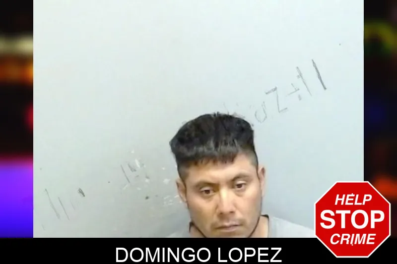 Domingo Lopez mugshot – Fulton County , Georgia Domingo Lopez mugshot