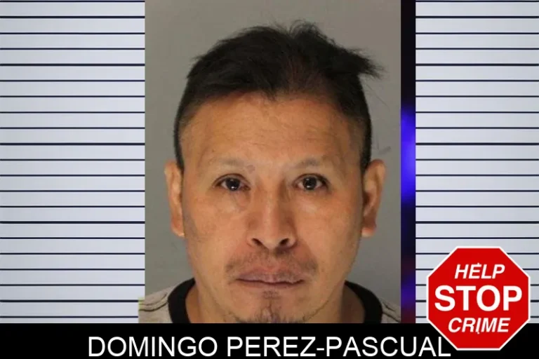 Domingo Perez-Pascual