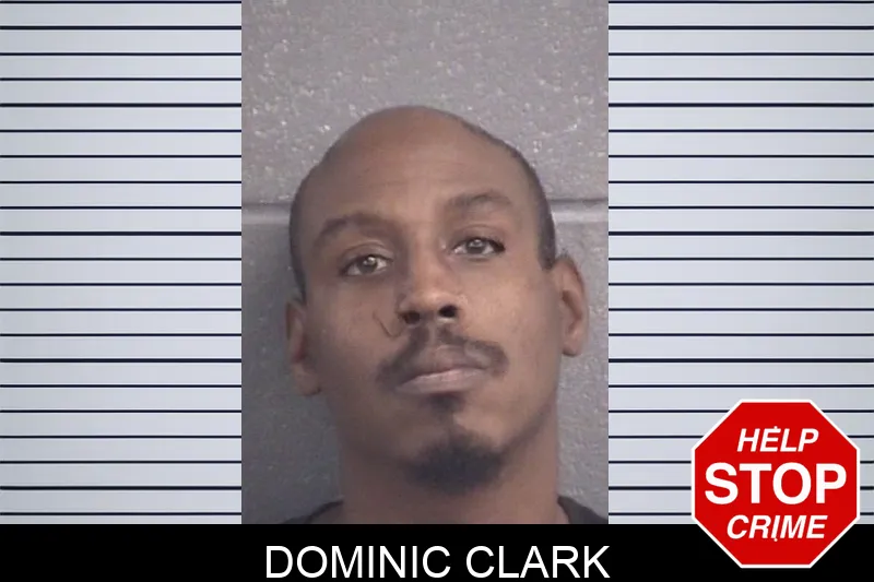 Dominic Clark mugshot – Spalding County , Georgia Dominic Clark mugshot