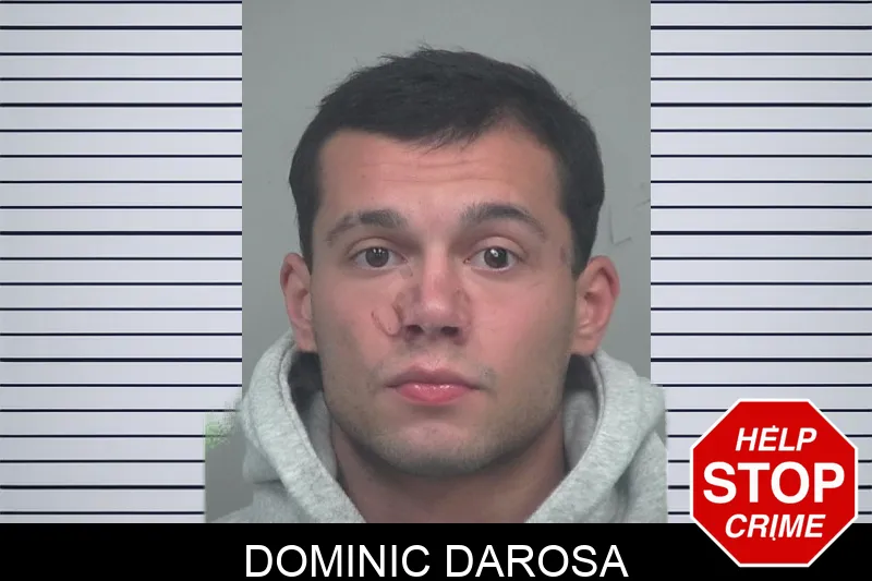 Dominic Darosa mugshot – Gwinnett County , Georgia Dominic Darosa mugshot