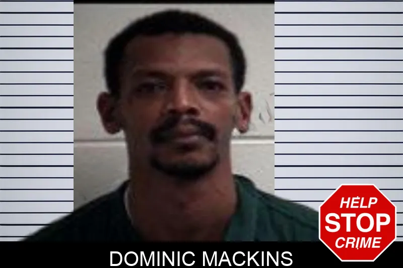 Dominic Mackins Mugshots