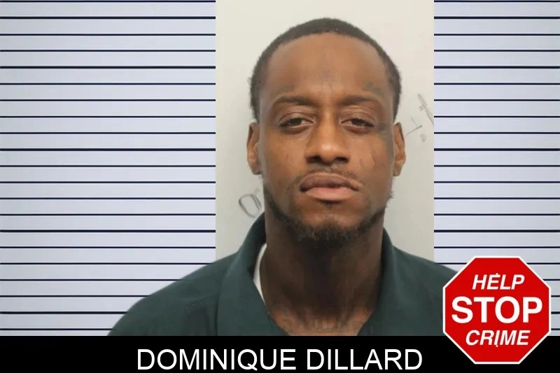 Dominique Dillard mugshot – Chatham County , Georgia Dominique Dillard mugshot