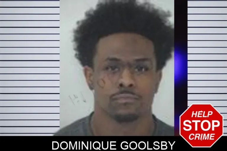 Dominique Goolsby mugshot – Fayette County , Georgia Dominique Goolsby