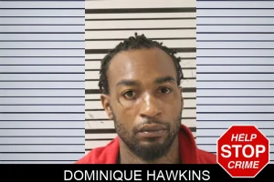 Dominique Hawkins mugshot