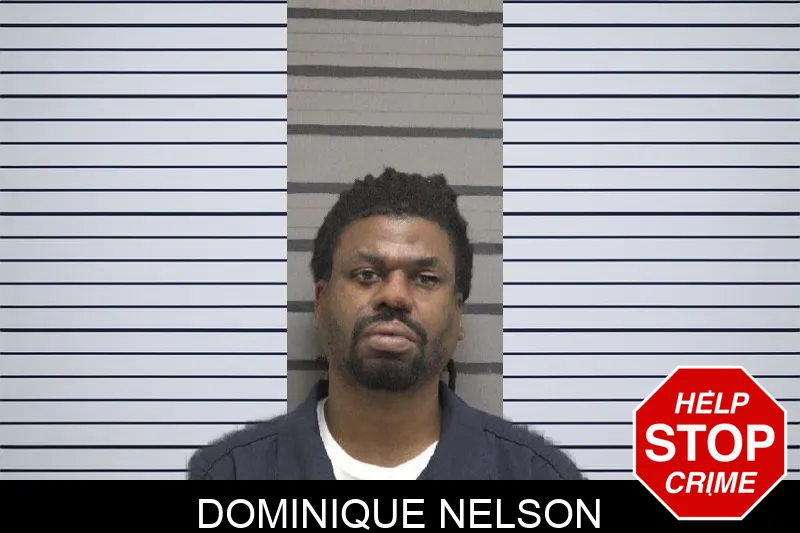 Dominique Nelson Mugshots