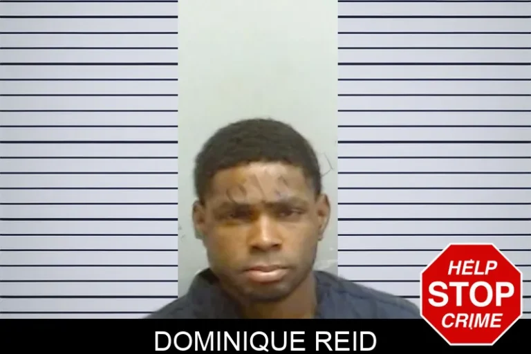 Dominique Reid