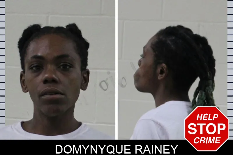 Domynyque Rainey mugshot