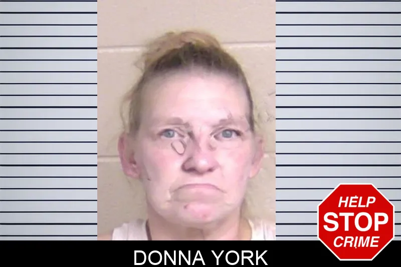 Donna York Mugshots