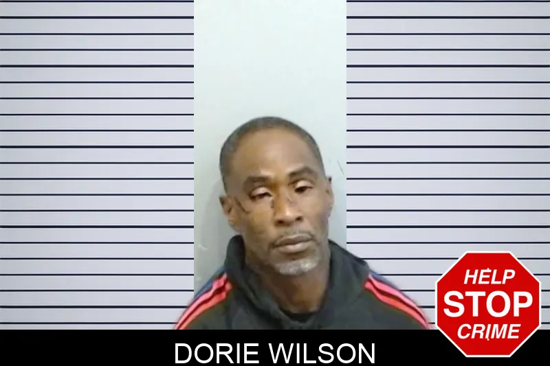 Dorie Wilson Mugshots