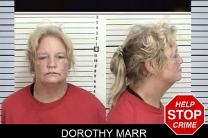Dorothy Marr mugshot