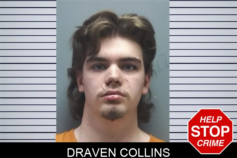 Draven Collins Mugshots