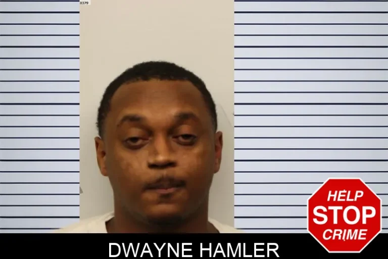 Dwayne Hamler mugshot – Chatham County , Georgia Dwayne Hamler