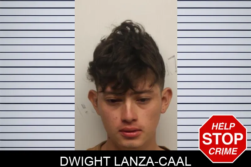 Dwight Lanza-Caal mugshot – Chatham County , Georgia Dwight Lanza-Caal mugshot